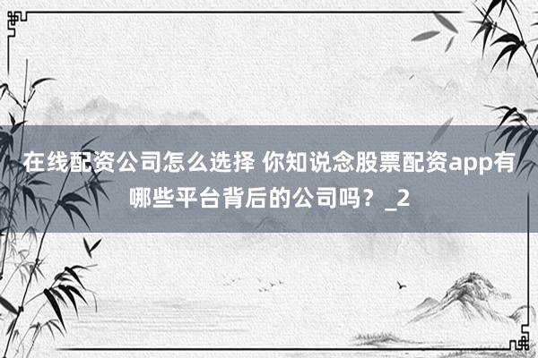 在线配资公司怎么选择 你知说念股票配资app有哪些平台背后的公司吗？_2